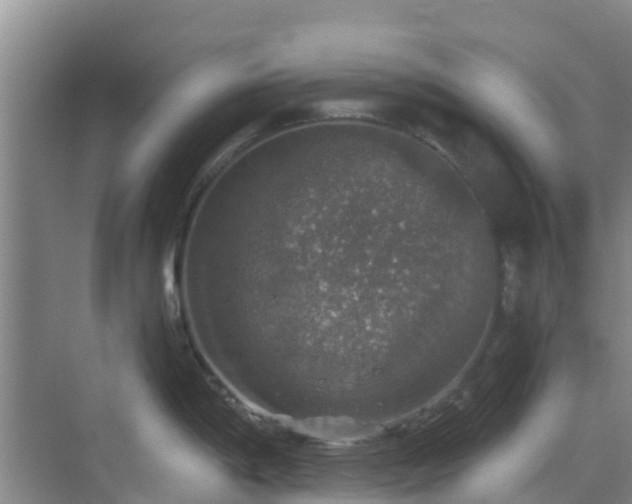 X0000068841198200605081231