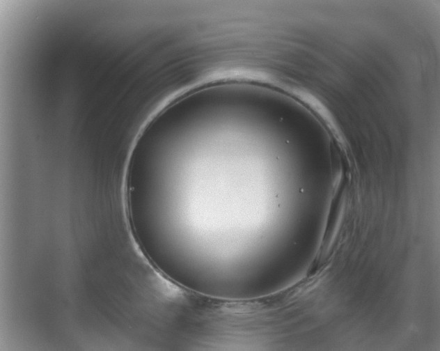 X0000068841199200605081231