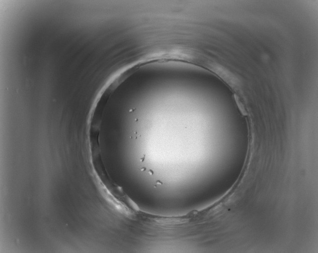 X0000068841200200605081231