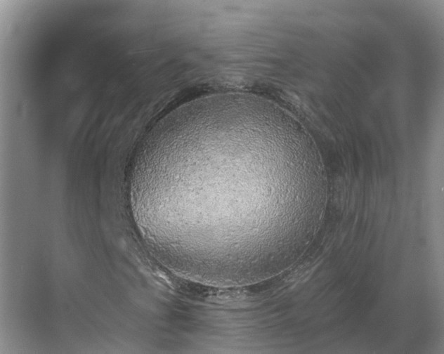 X0000068841201200605081230