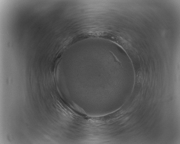 X0000068841202200605081230