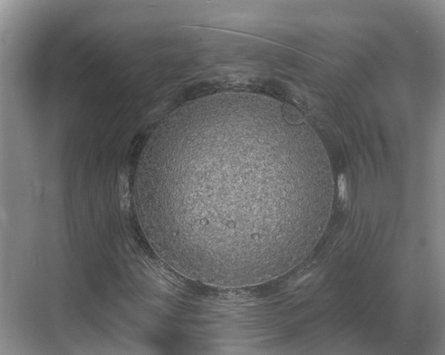 X0000068841203200605081230