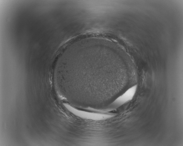 X0000068841206200605081230