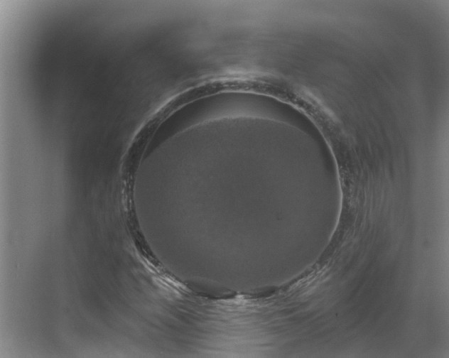 X0000068841208200605081230