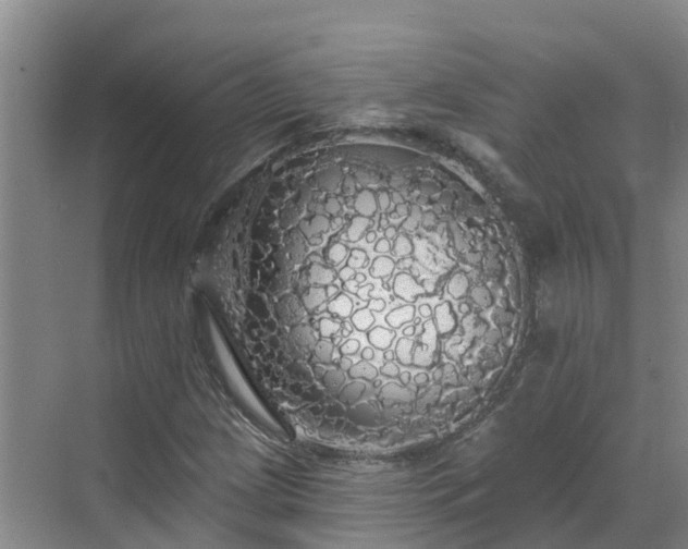 X0000068841209200605081230