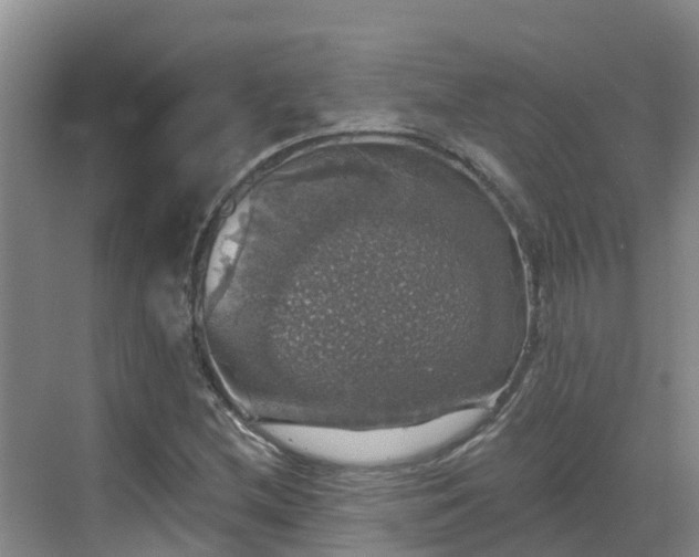 X0000068841212200605081230