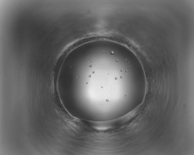 X0000068841214200605081230