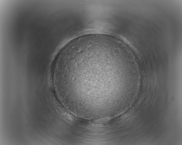 X0000068841215200605081230