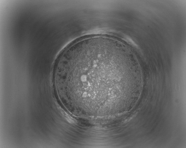 X0000068841216200605081230