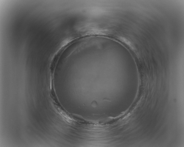 X0000068841219200605081230