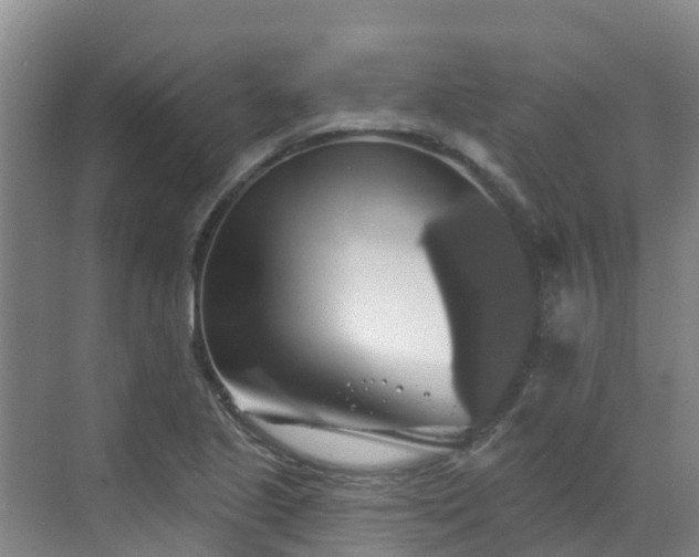 X0000068841221200605081231