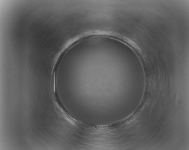 X0000068841223200605081231