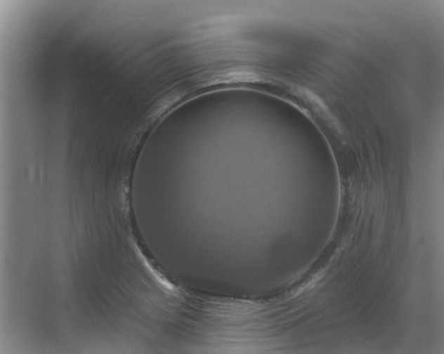 X0000068841225200605081231