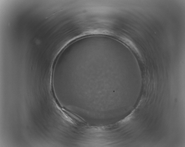 X0000068841228200605081231