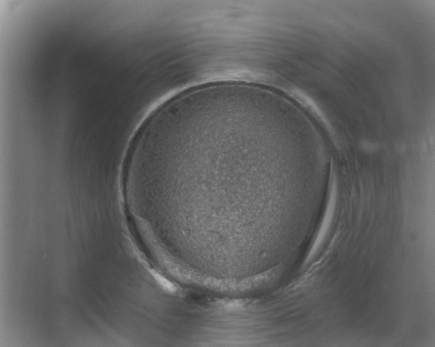 X0000068841230200605081231