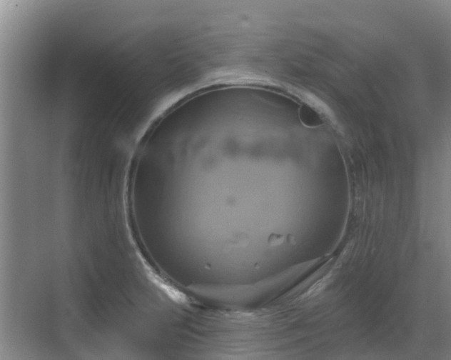 X0000068841231200605081231