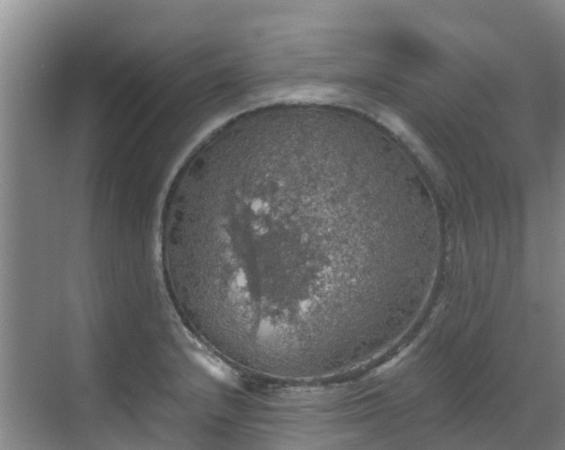 X0000068841232200605081231