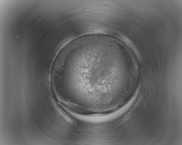 X0000068841234200605081231