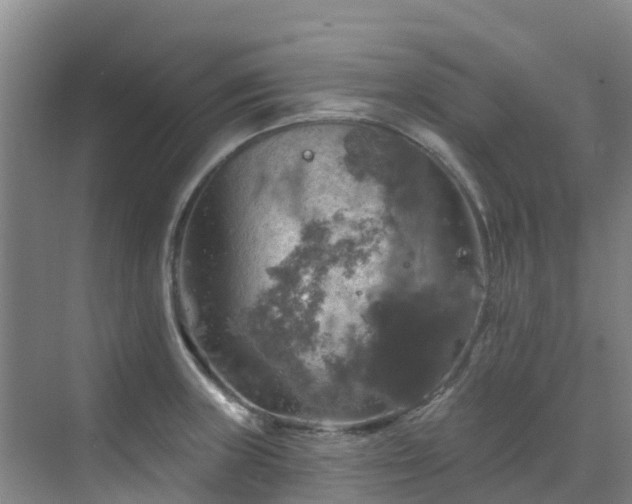 X0000068841235200605081231