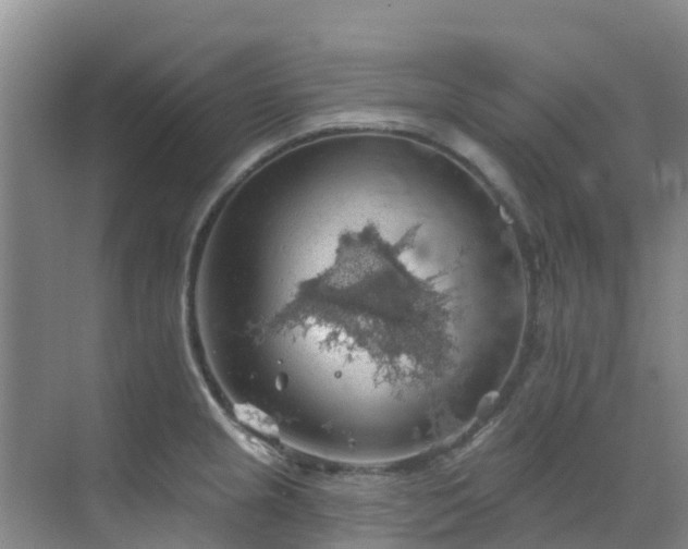 X0000068841237200605081231