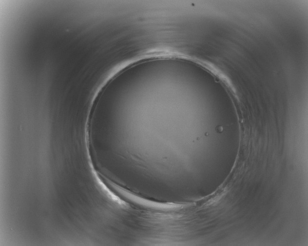 X0000068841239200605081231