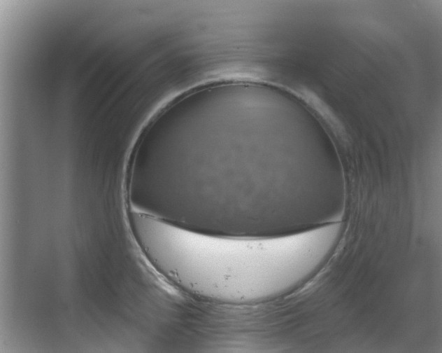 X0000068841240200605081231