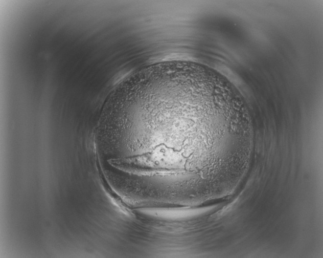 X0000068841241200605081231