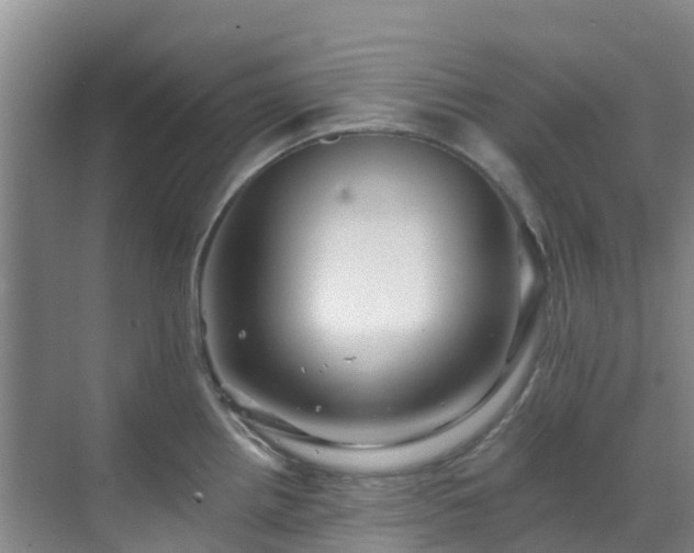 X0000068841242200605081231