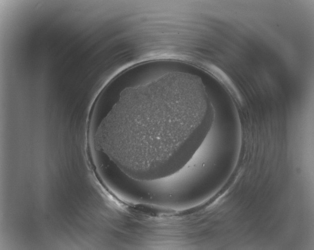 X0000068841244200605081231