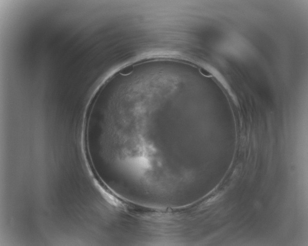 X0000068841245200605081231