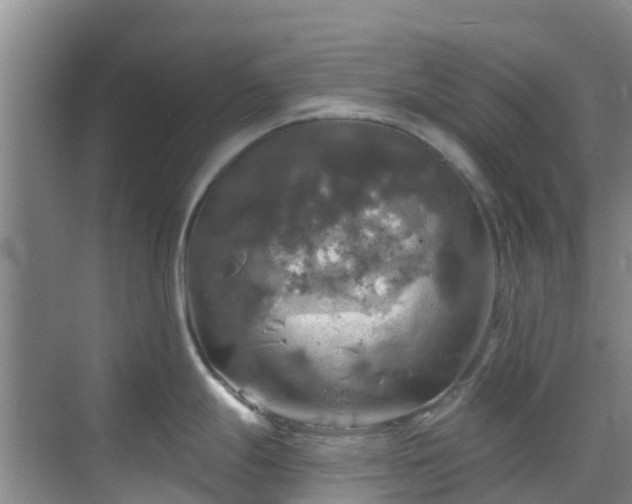 X0000068841247200605081231