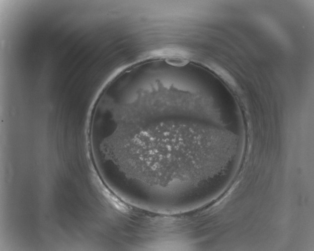 X0000068841248200605081231