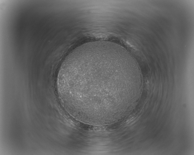 X0000068841249200605081230