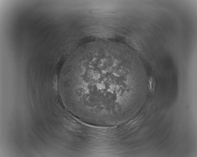 X0000068841251200605081230