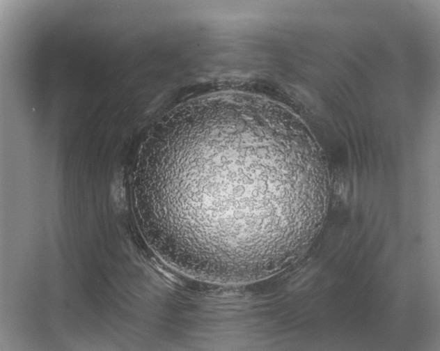 X0000068841252200605081230