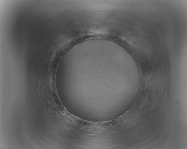 X0000068841254200605081230