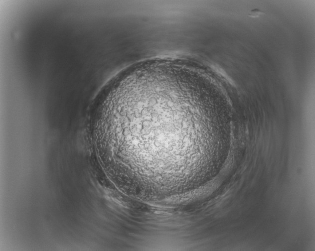 X0000068841256200605081230