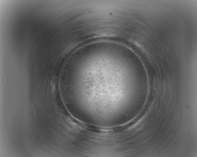 X0000068841257200605081230