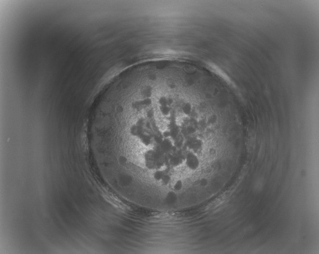 X0000068841259200605081230