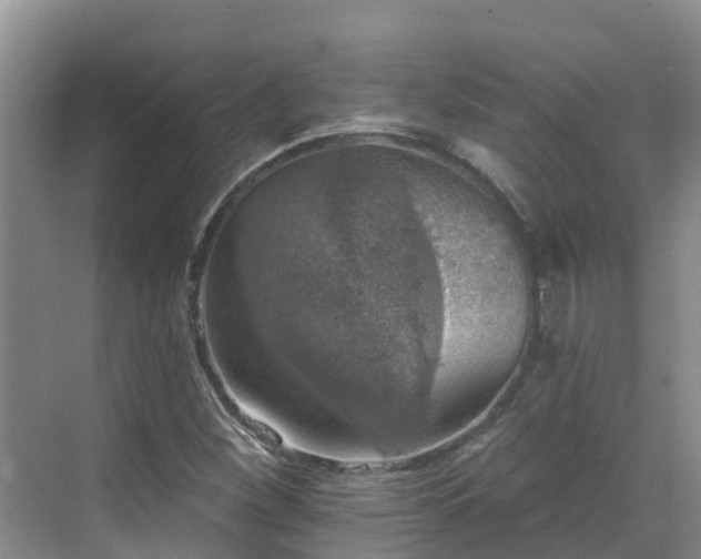 X0000068841260200605081230