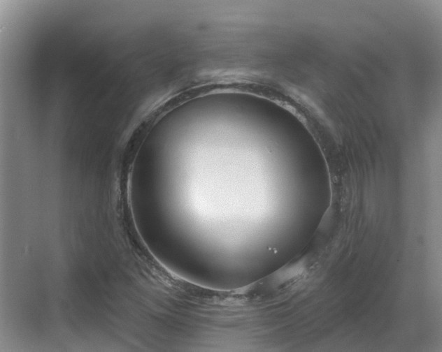 X0000068841261200605081230