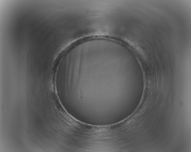 X0000068841262200605081230