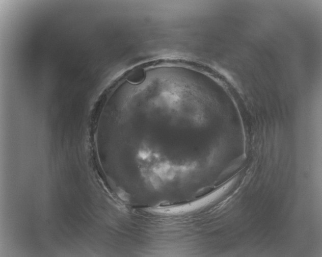 X0000068841263200605081230