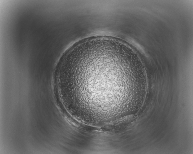 X0000068841264200605081230