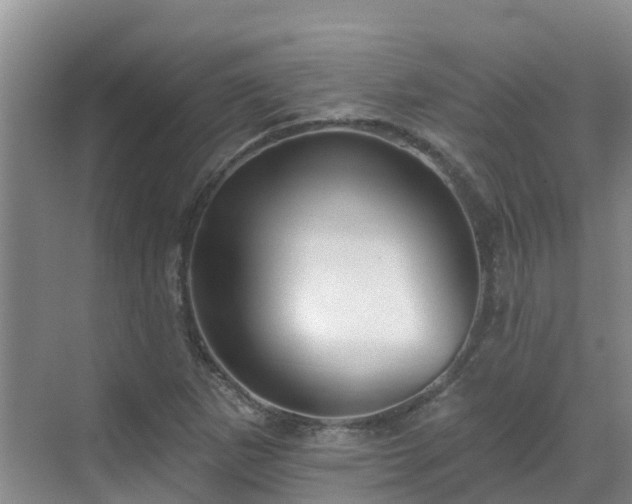 X0000068841265200605081230