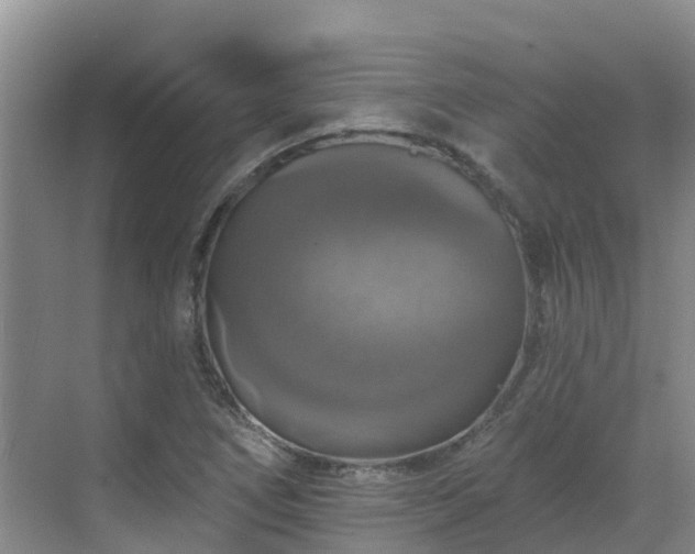 X0000068841266200605081230