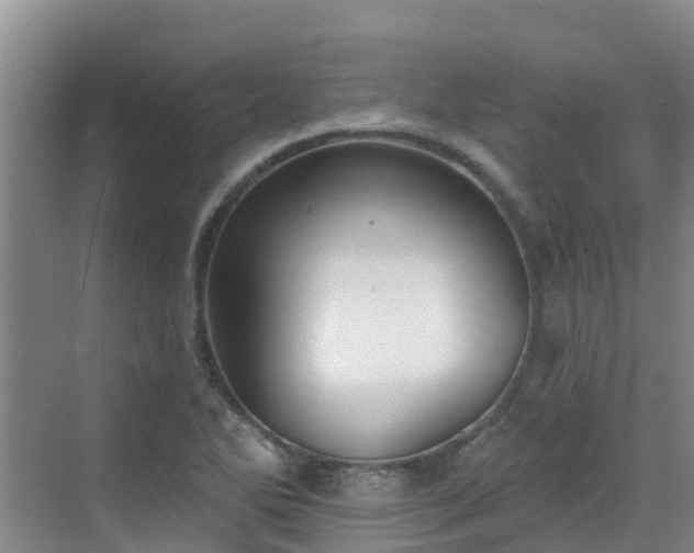 X0000068841270200605081230