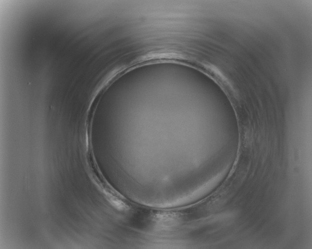 X0000068841274200605081230