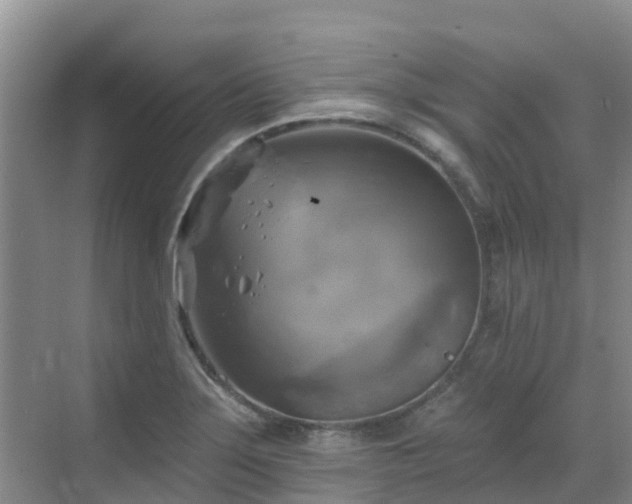 X0000068841275200605081230