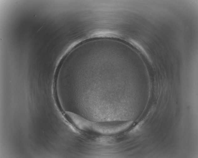 X0000068841277200605081230